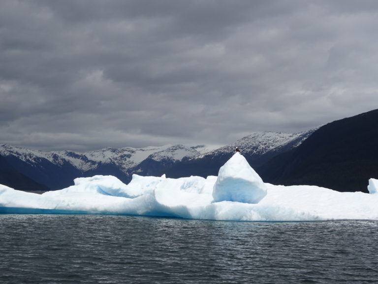Day Trip To Tracy Arm Fjord - wehavebeenthere