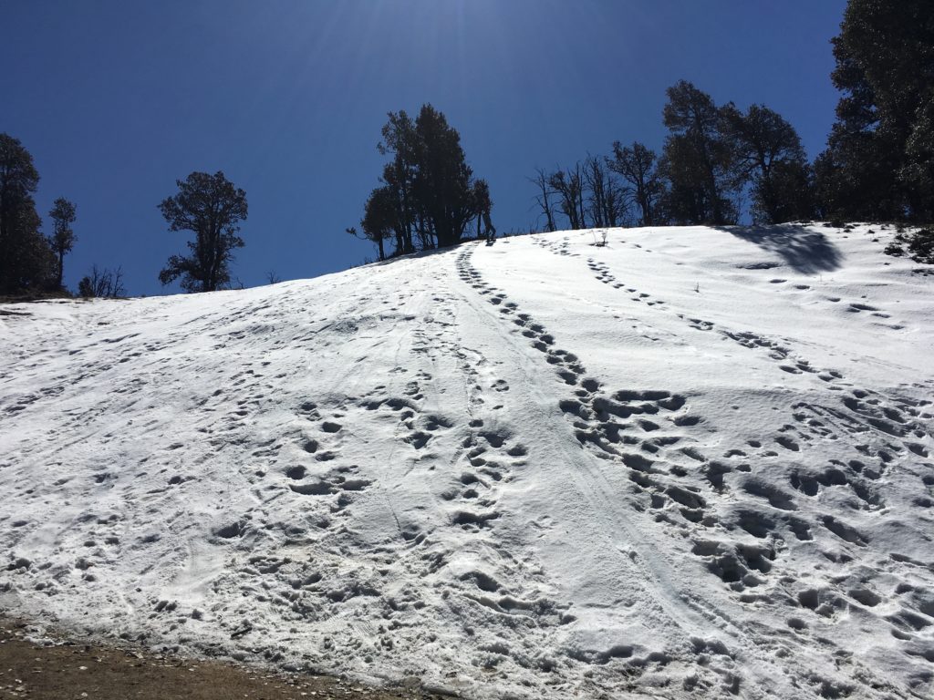 Snow Covered Peak at the Summit