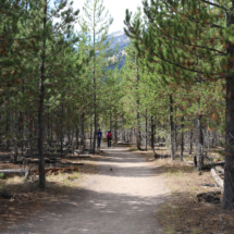 Taggart Lake Hike